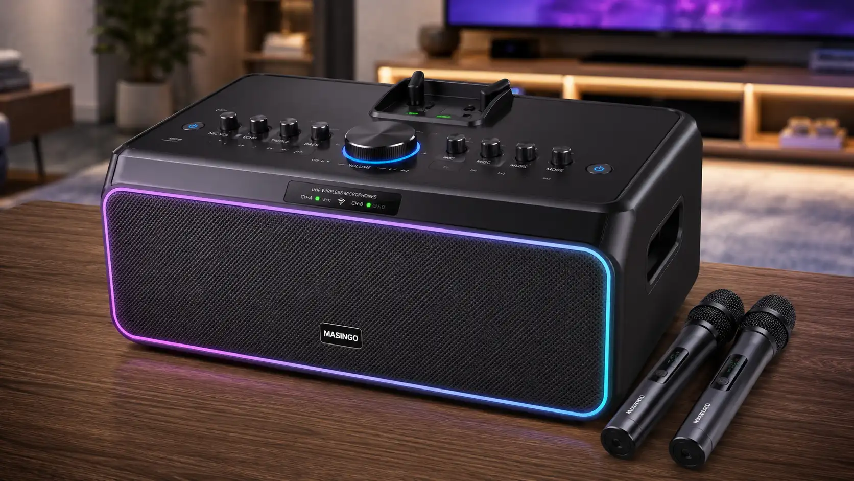 Karaoke Machine With Wireless Microphones typical home speaker setup